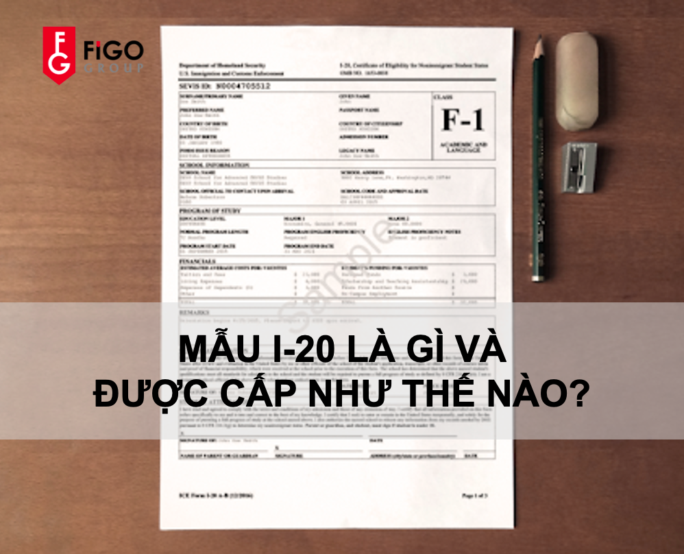 Mẫu I-20 là giấy tờ quan trọng cho sinh viên quốc tế du học Mỹ