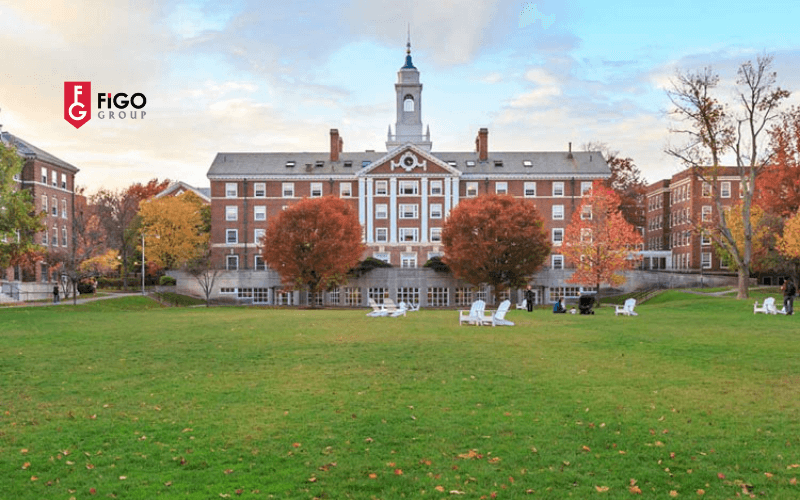 trường đại học lâu đời nhất nước Mỹ  Harvard University