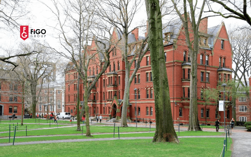 trường đại học tốt nhất ở Mỹ Harvard university