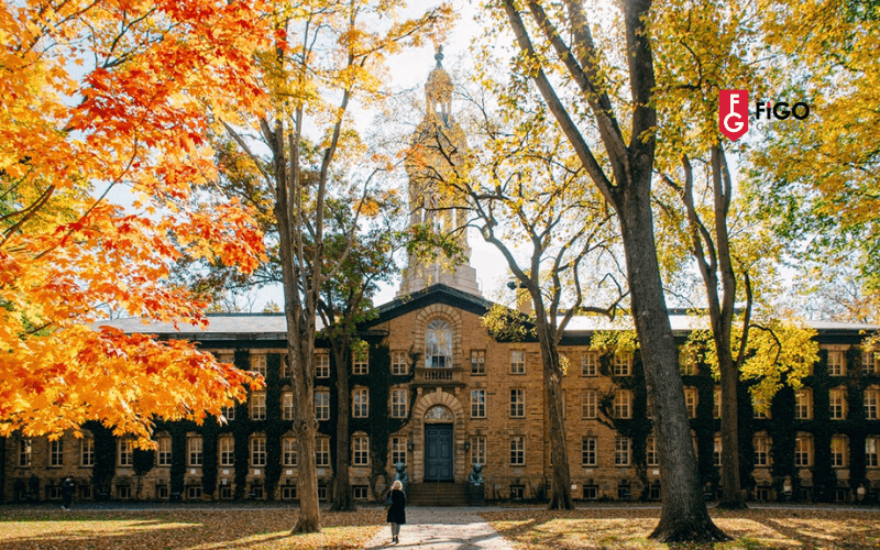 trường đại học tốt nhất ở Mỹ Princeton