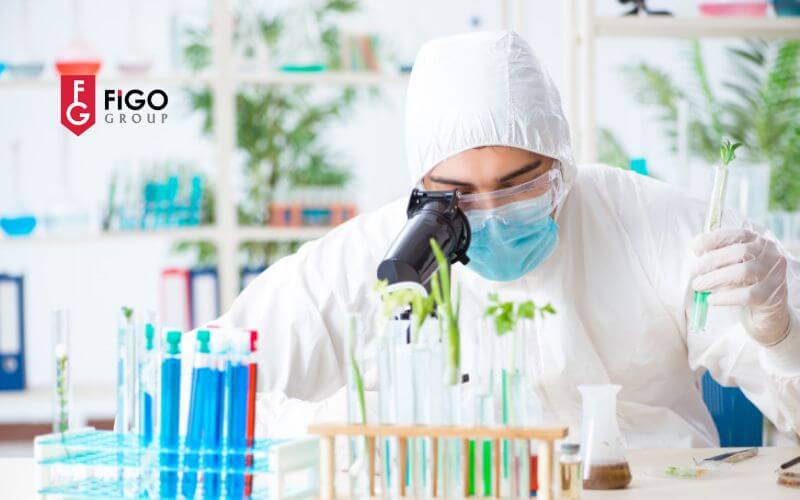 biochemist2020lc3a020ngc3a0nh20stem20phe1bb9520bie1babfn Biochemist là ngành STEM phổ biến