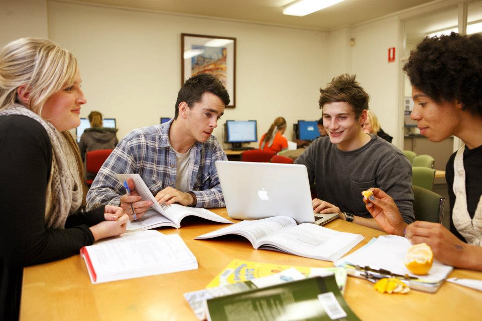 Các chương trình đào tạo và điều kiện nhập học