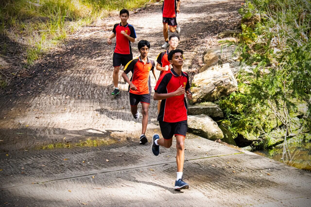 Các hoạt động văn hóa và ngoại khóa