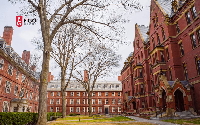 Các Trường Đại Học Hàng Đầu ở Mỹ