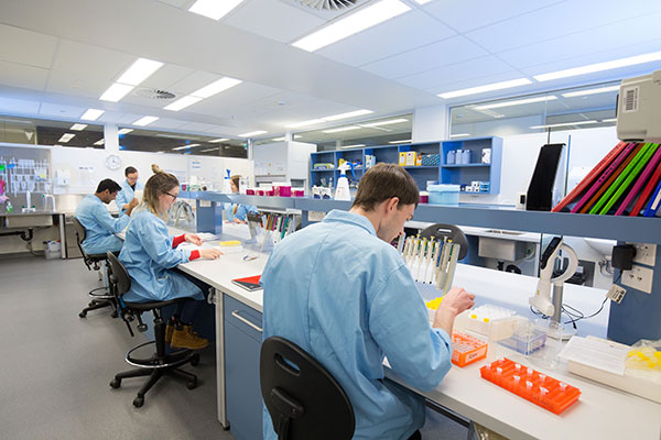 Chương trình đào tạo và giảng dạy của Đại học Macquarie