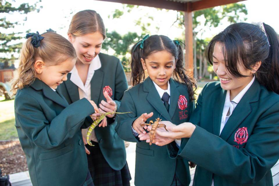 Chương trình học thuật cho học sinh quốc tế