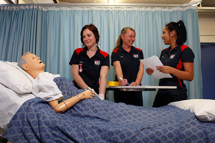 Chương trình đào tạo và khóa học