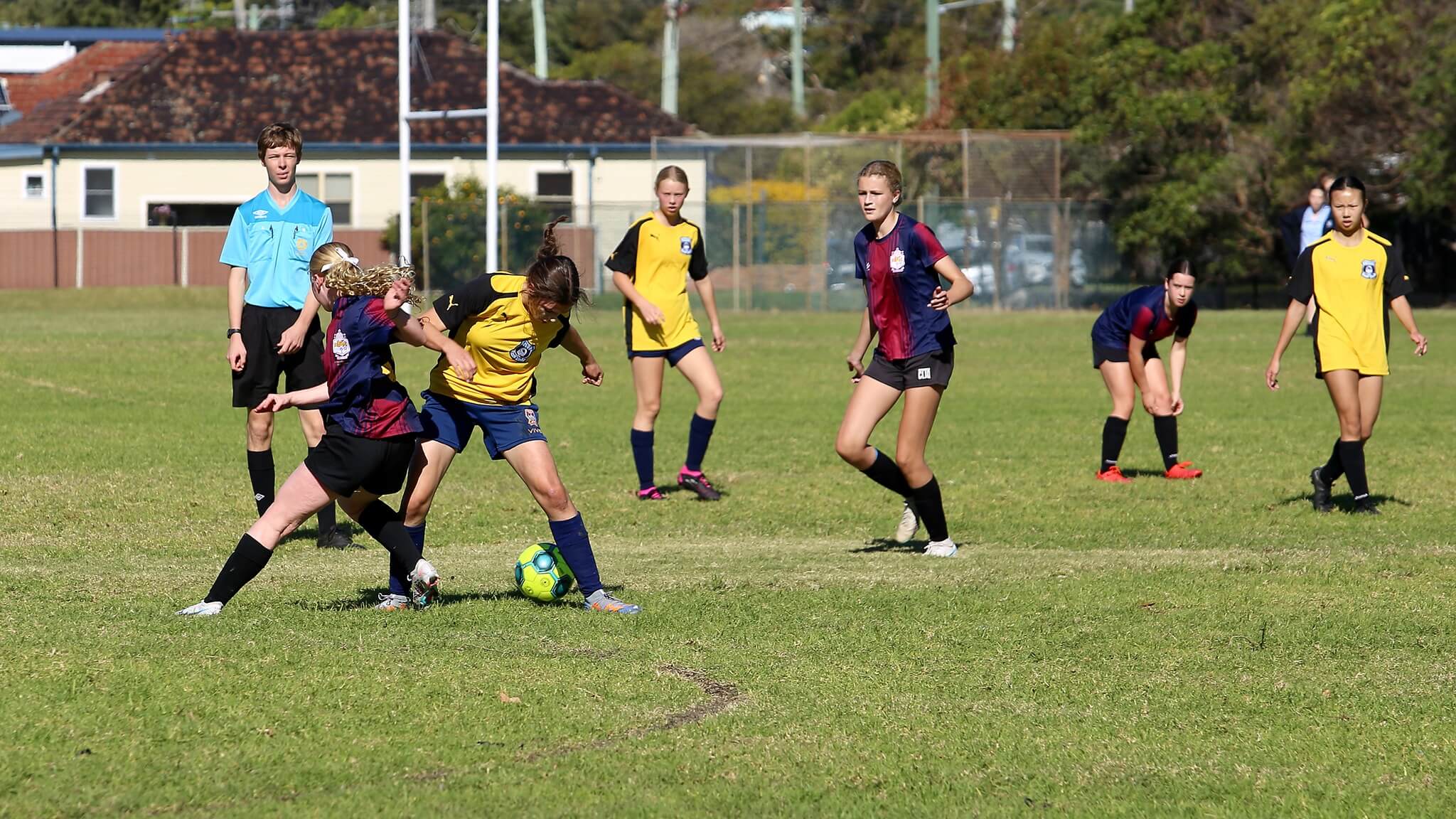 Hoạt động ngoại khóa