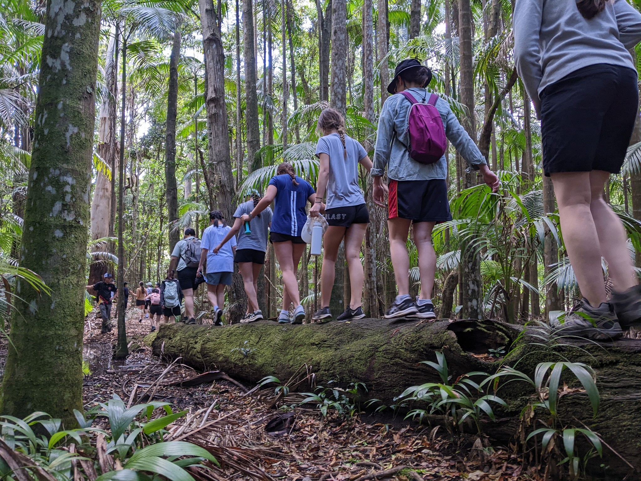 Hoạt động ngoại khóa trường Meridian School