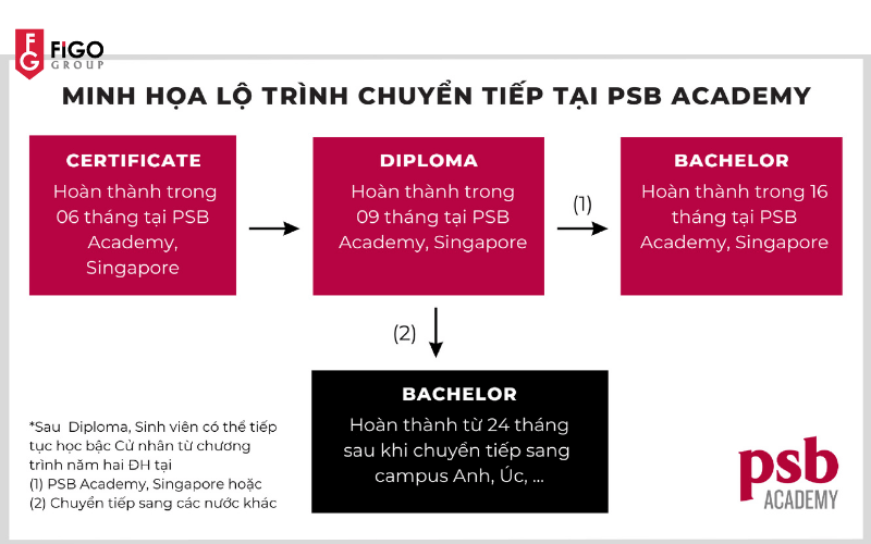 Lộ trình chuyển tiếp của PSB Academy