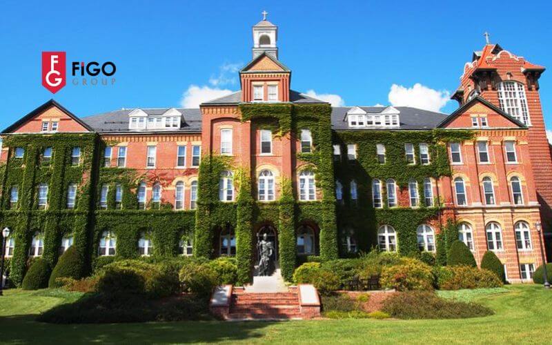 trường Liberal Arts Colleges Mỹ LAC là gì