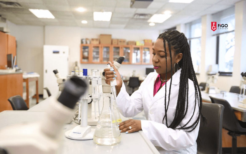 ngành học nổi bật Đại học Academy of Art University