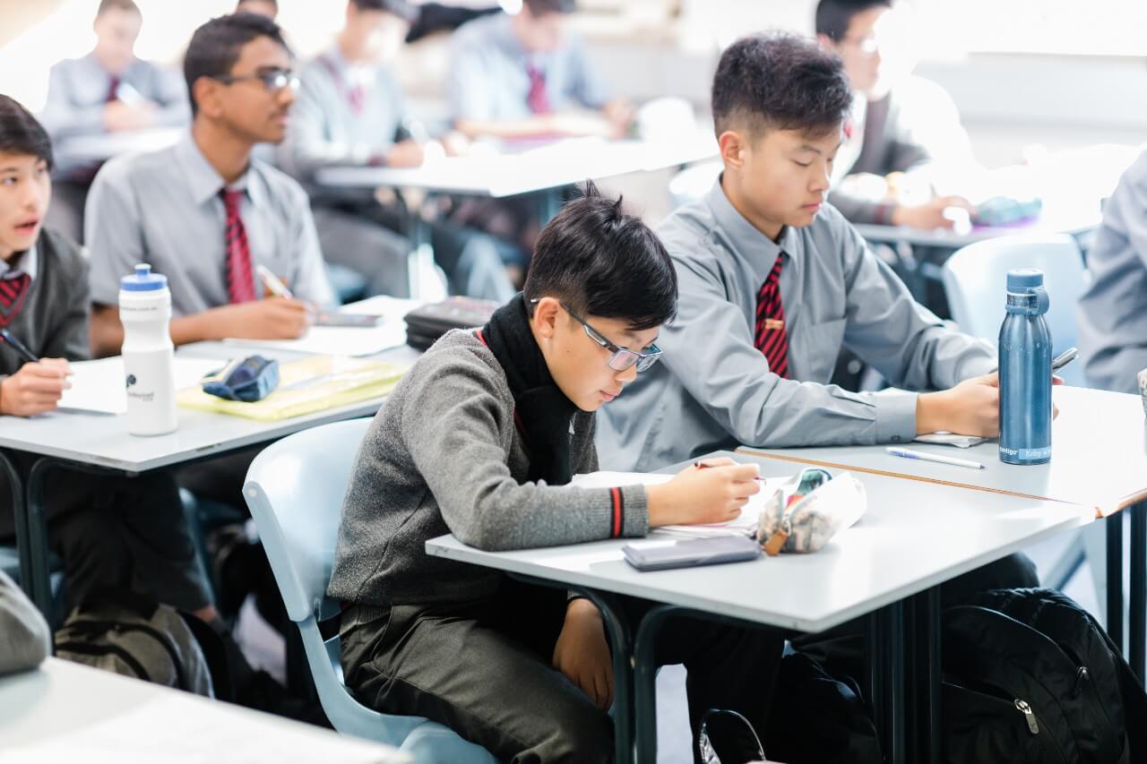 Nhiều môn học và chương trình đào tạo