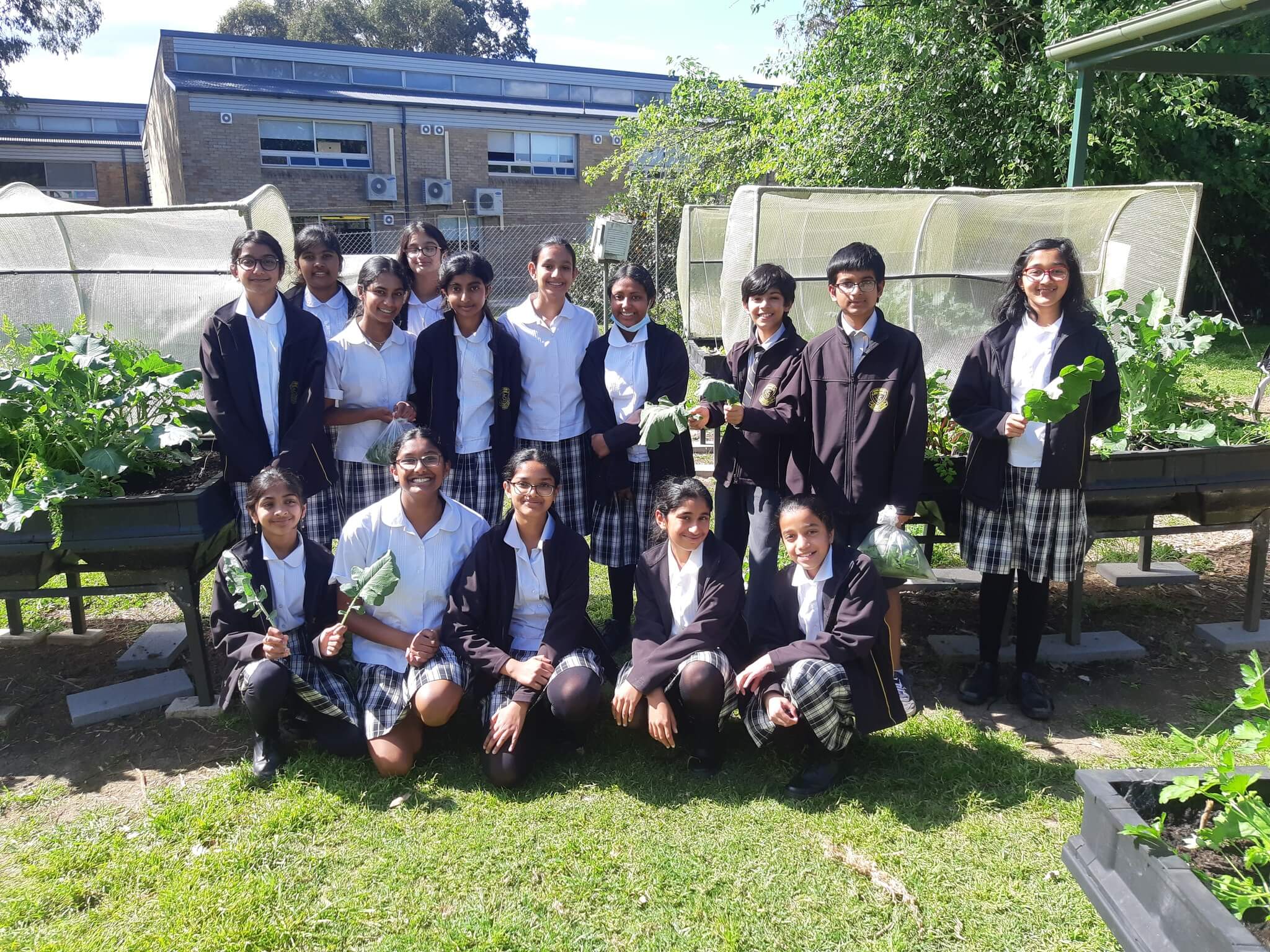 Thông tin tổng quan về trường trung học Girraween High School