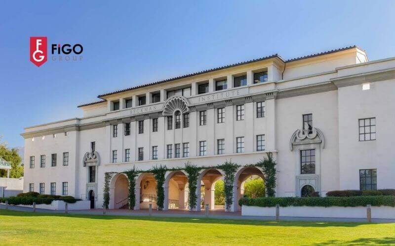 top20trc6b0e1bb9dng20c491e1baa1i20he1bb8dc20c491c3a0o20te1baa1o20stem20hc3a0ng20c491e1baa7u20e1bb9f20me1bbb920vie1bb87n20cc3b4ng20nghe1bb8720california TOP trường đại học đào tạo STEM hàng đầu ở Mỹ Viện Công nghệ California