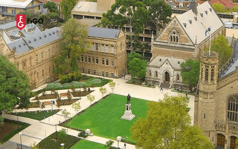 trường đại học hàng đầu ở Úc Đại học Adelaide