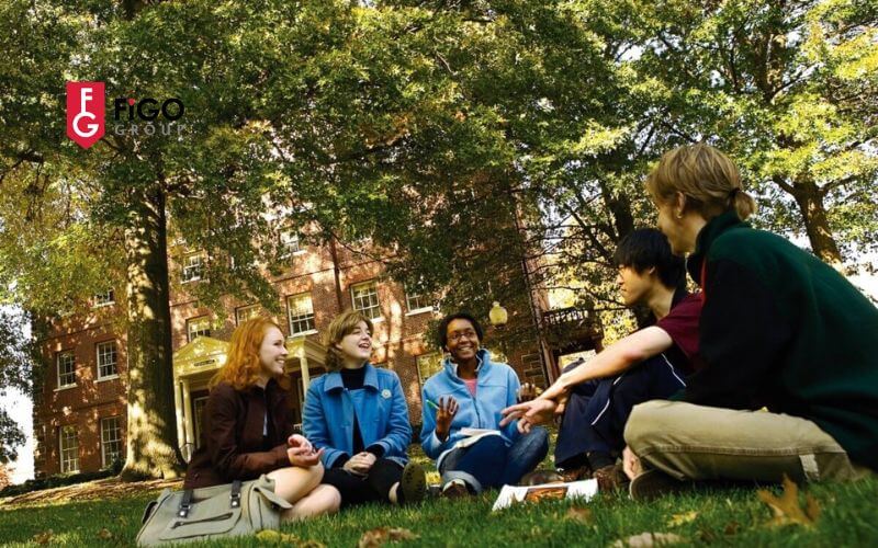 trc6b0e1bb9dng20liberal20arts20colleges20lc3a020gc3ac Trường Liberal Arts Colleges là gì