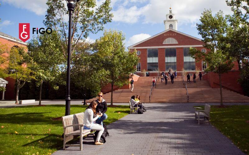 Trường Regional Colleges ở Mỹ là gì