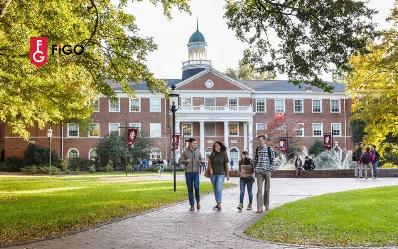Trường Regional Universities là gì