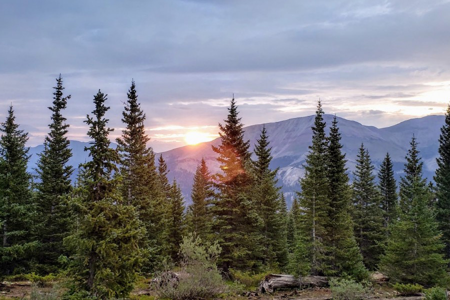Khung cảnh rừng bang Oregon