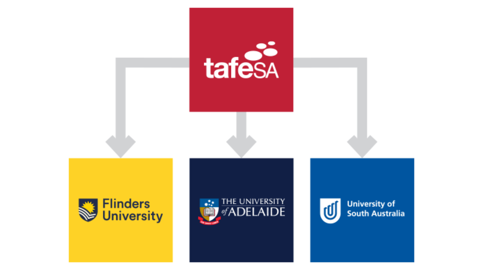 Học Tafe South Australia - con đường chuyển tiếp vào các đại học hàng đầu ở Úc thật dễ dàng
