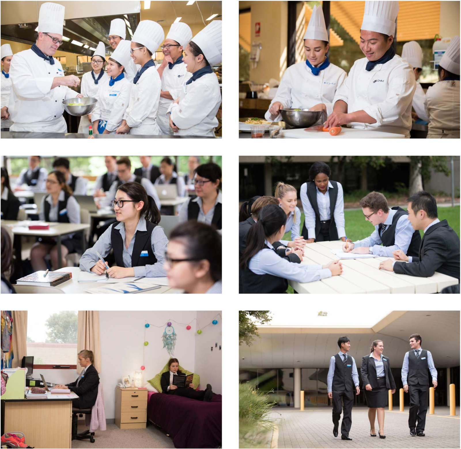 Cơ hội nghề nghiệp toàn cầu khi học tại ICHM