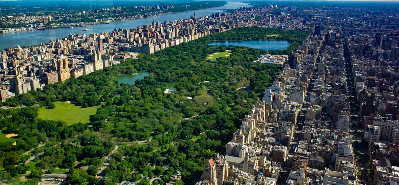 Central Park - New York