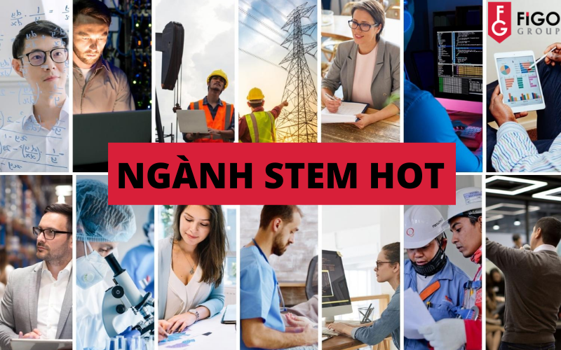 unnamed-527 Ngành STEM hot