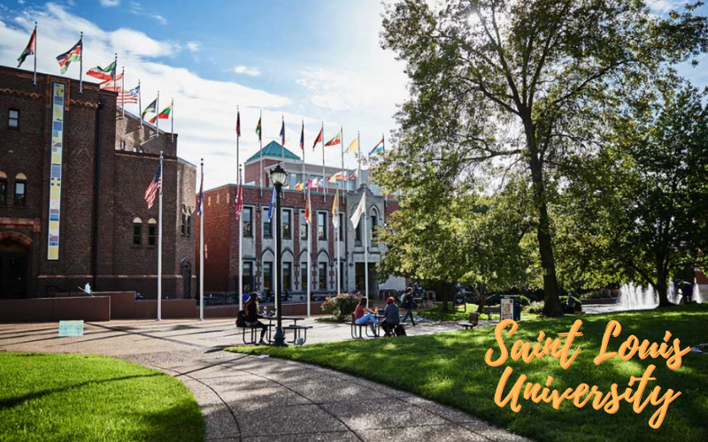 Trường Saint Louis