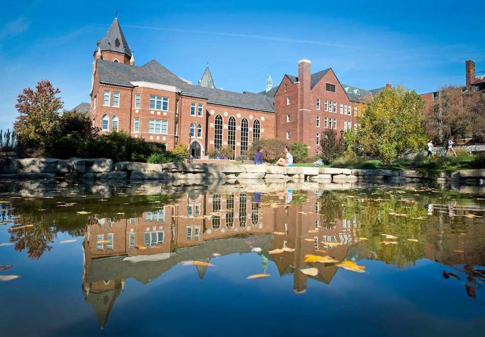 Trường kinh doanh