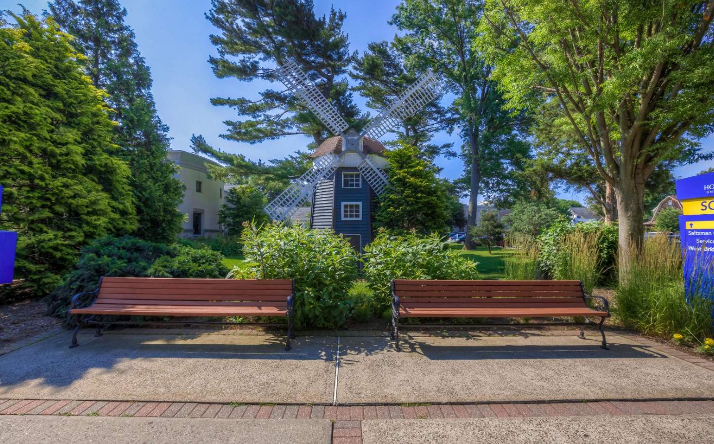 Khuôn viên nhiều cây xanh