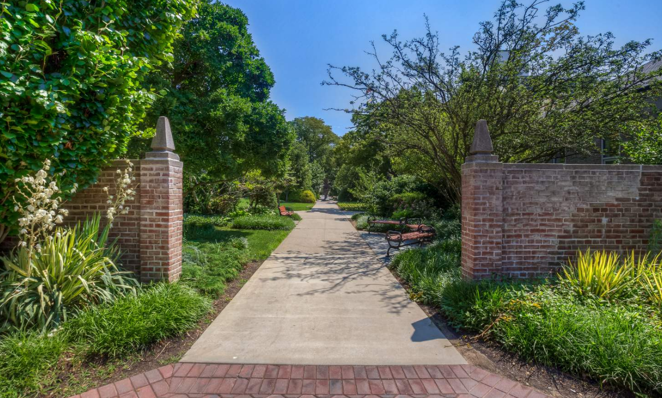 Hàng cây xanh - Campus Tour