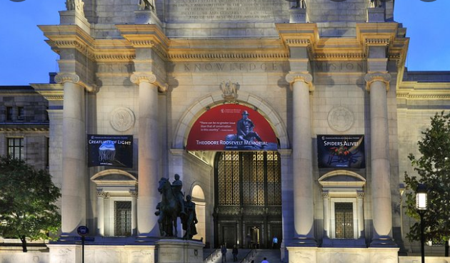 Khối ngành STEM - Bảo tàng