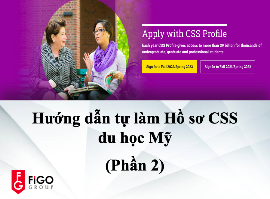 Tự làm Hồ sơ CSS: Phần 2 - Hướng dẫn điền CSS Profile