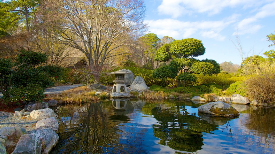 Vườn Bách thảo Norfolk