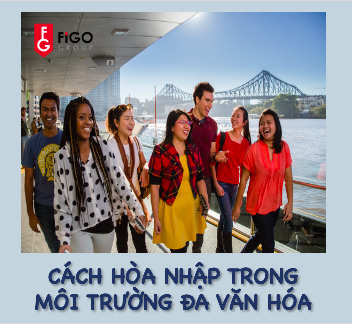 thích nghi trong môi trường đa văn hoá