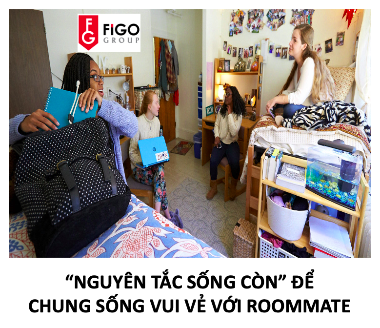 Nguyên tắc sông còn để chung sống với roommate khi du học mỹ