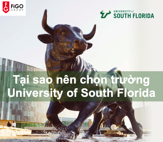 du học sinh Mỹ nên chọn trường University of South Florida