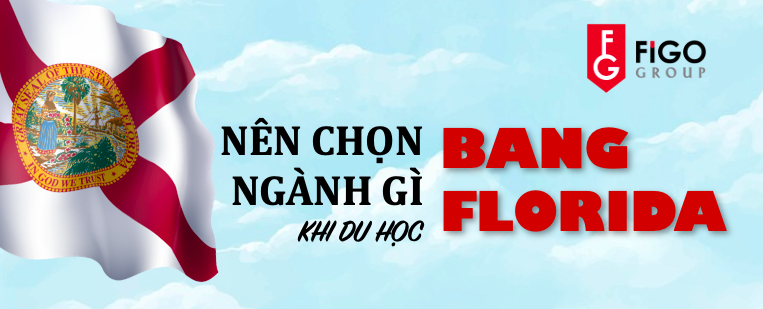 nên chọn ngành gì khi du học Florida