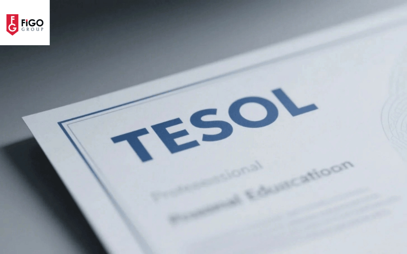 TESOL nghĩa là giảng dạy tiếng Anh cho người sử dụng tiếng Anh như ngôn ngữ thứ hai