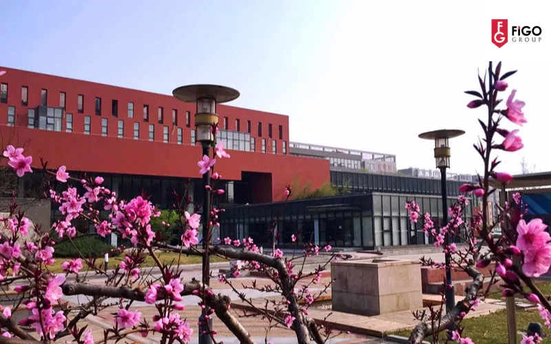 Câu hỏi thường gặp khi du học tại BHI