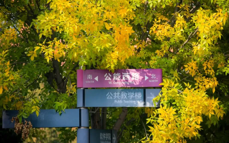 Môi trường học tập quốc tế tại Đại học Nam Khai